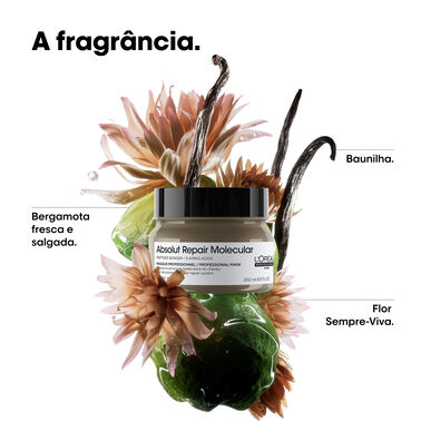 Absolut Repair Molecular Máscara Concentrada Profissional - L'Oreal Professionnel | L'Oréal Partner Shop