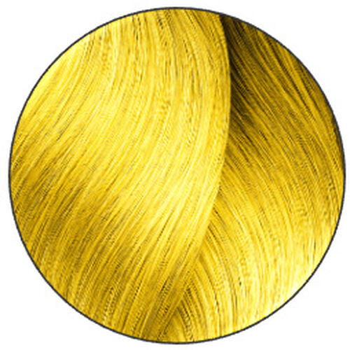 Dialight Booster Dourado - Bloqueado KER | L'Or&eacute;al Partner Shop